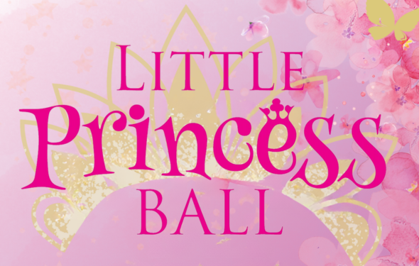 More Info for THE LITTLE PRINCESS BALL